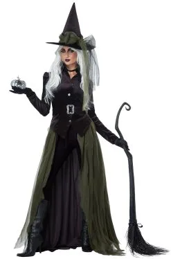 Gothic Witch Adult Costume