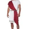 Party Toga Adult Costume