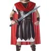 Plus Size Hercules Costume -Cheap Kids Costumes Store 01621 full 1