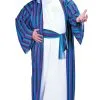 Chic Sheik Plus Size Costume