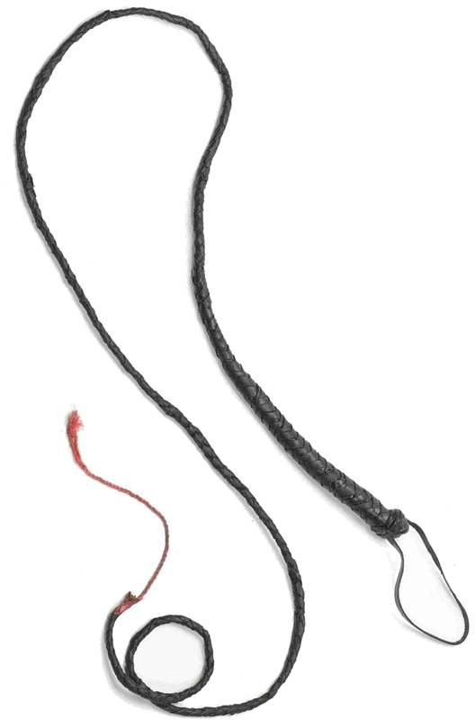 Bull Whip 3 Bull Whip