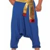 Desert Prince Pants Adult Costume (Blue)