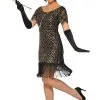 Rose Gold Diamond Flapper Adult Costume (XS/S) -Cheap Kids Costumes Store FM85823 full 1