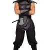The Assassin Male Adult Costume