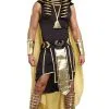 King Of Egypt Adult Costume -Cheap Kids Costumes Store G9893 full 1