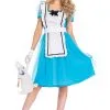 Classic Alice Adult Costume