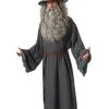 The Hobbit Gandalf Adult Costume 2 The Hobbit Gandalf Adult Costume -Cheap Kids Costumes Store R887376 full 1